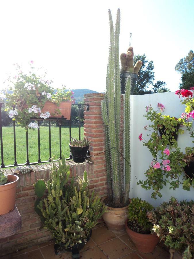 Apartamentos Las Juanas El Bosque Kültér fotó